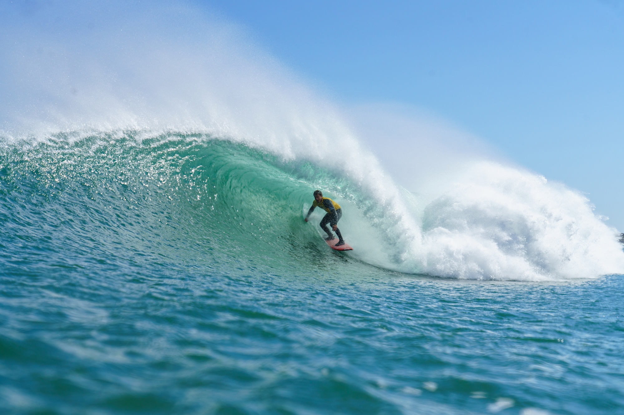Natural Selection Surf 2026