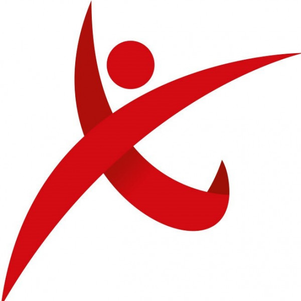 Jersey Sport Seals and Sharks