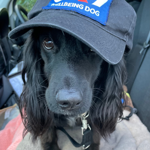 Profile picture