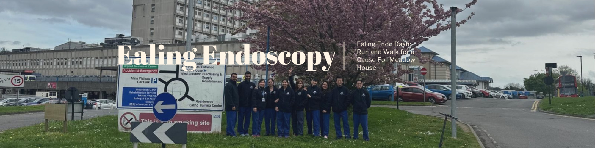 Ealing Endoscopy