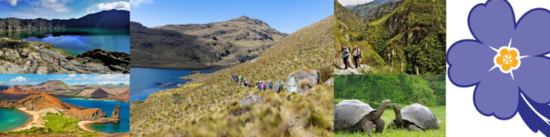 Jodie & Chris Le Marquand