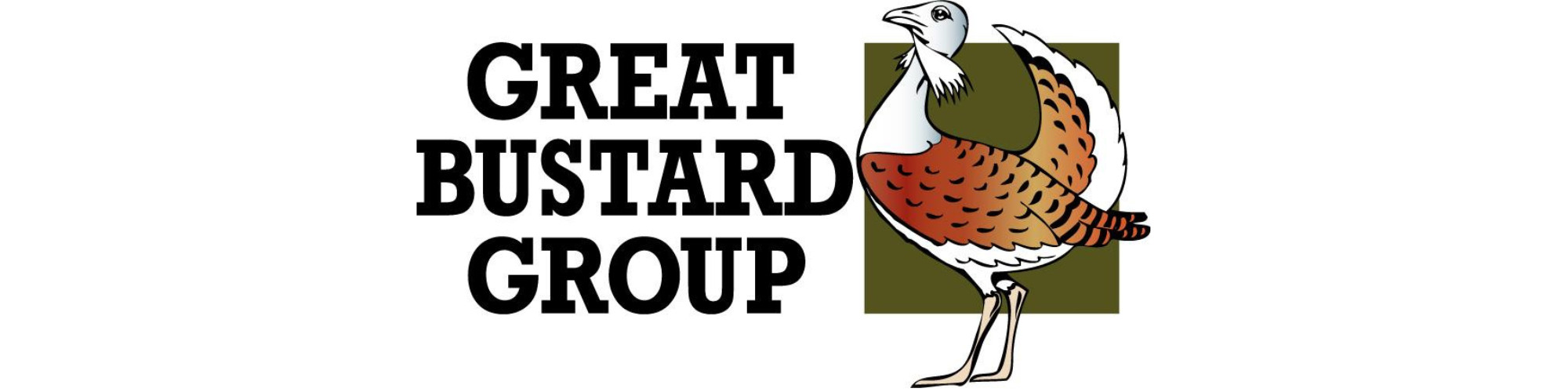 The Great Bustard Group