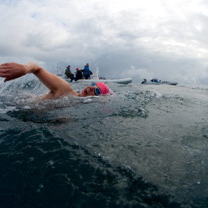 Ed Shorrock - Kroll Krackens