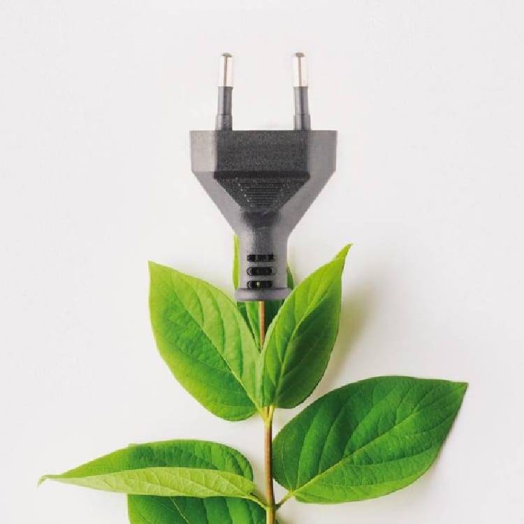 Read our latest News and Press Releases