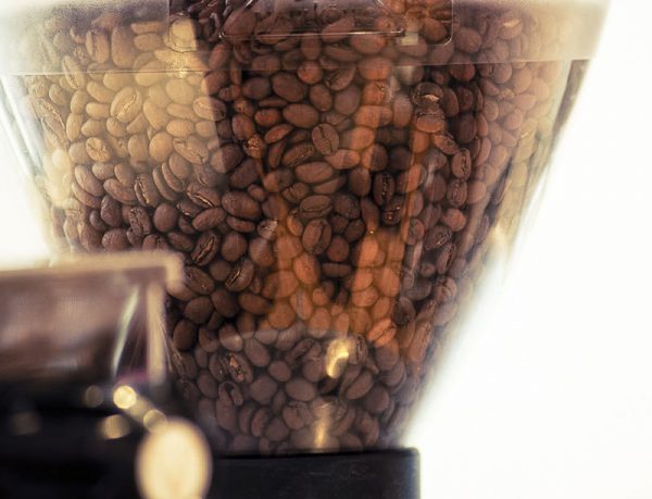 the coffee apothecary apothecary define