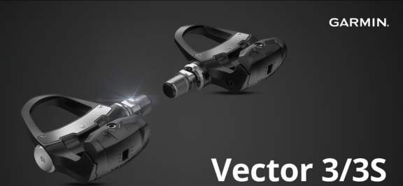 Vector