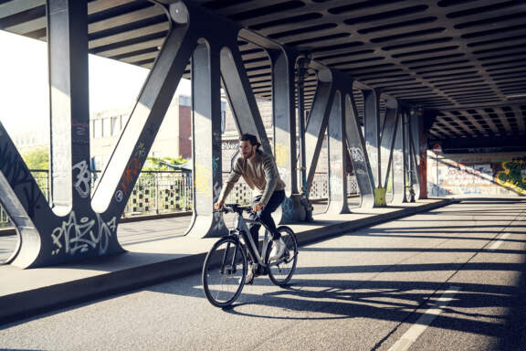 Riese Muller Roadster 2021
