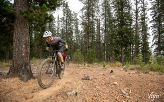 Specialized Levo SL test essai Copyright G Perkin Vojomag 1