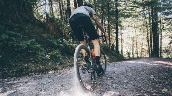 Specialized fietsen \u0026 Accessoires | Van Herwerden