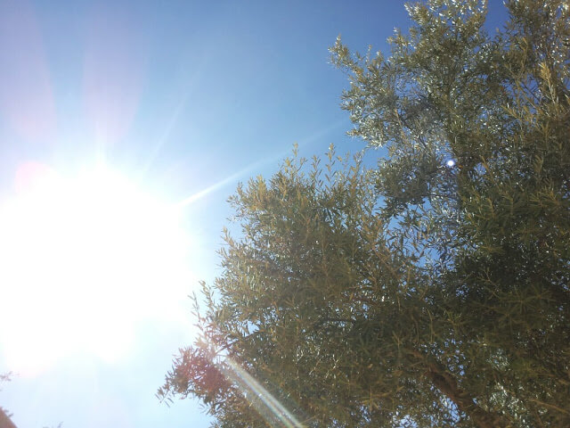 First Impressions: A Hideaway in Marrakesh