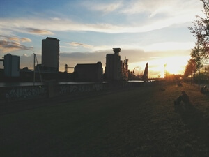 MusicMonday: A Playlist from MS Dockville