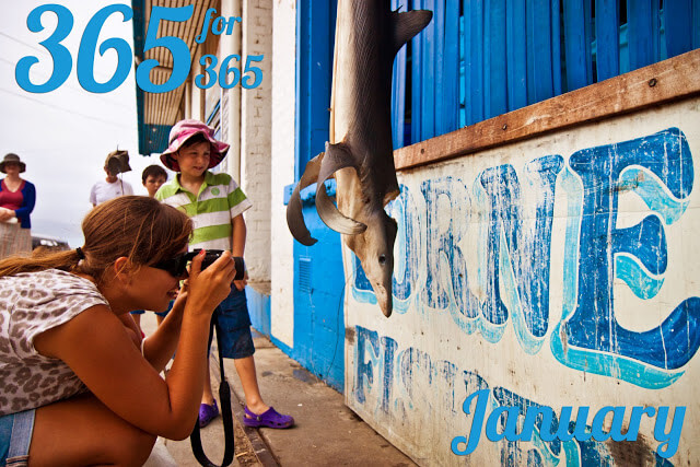 One photo a day in 2012: January