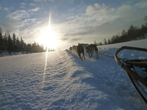The Next Adventure: Northern Norway