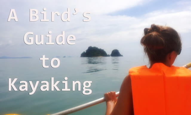 In photos: A Bird's Guide to Kayaking