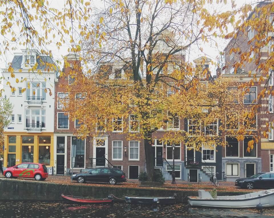 New Year, New Directions: A Blog About Travel, Writing... and Motherhood