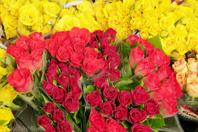 Moments of Happiness: Markets in Amsterdam