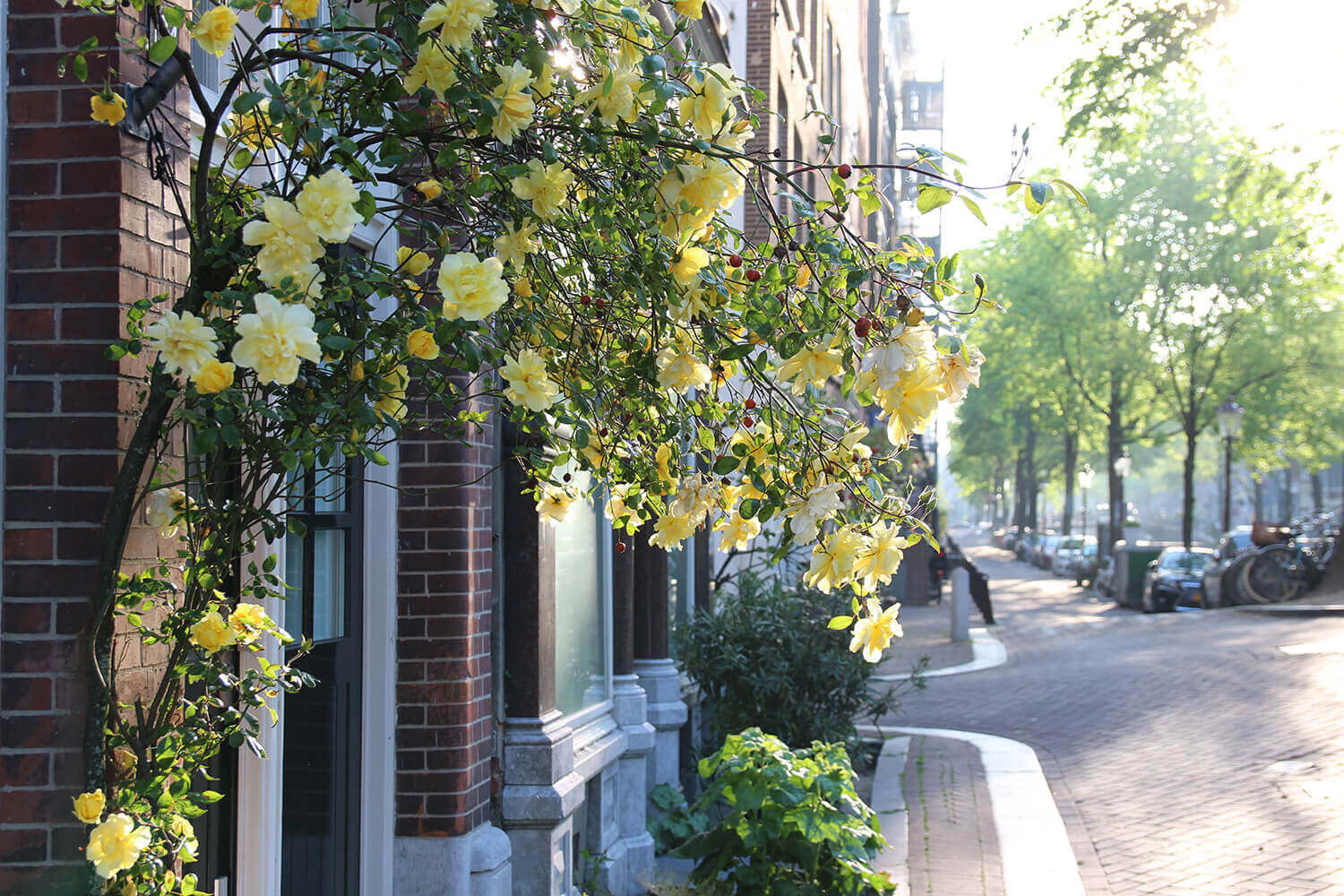 Amsterdam Staycation: The Best Tips, Ideas & Hotels for a Staycation in Amsterdam