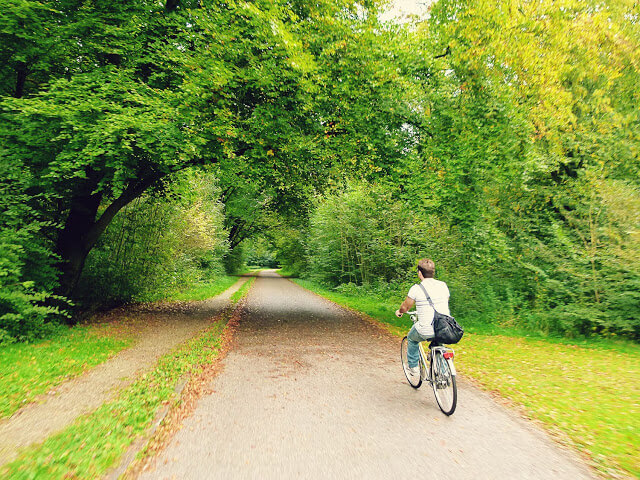 In photos: Cycling in Amsterdamse Bos