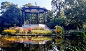 Self-Love: 31 Positive Affirmations for August﻿