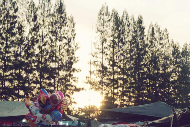 To market, to market... in Bangtao, Phuket