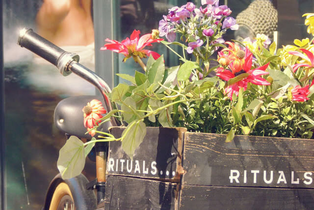 My Thoughts: The fear of public speaking...