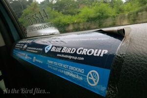 My Thoughts: The fear of travel