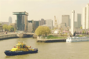 Moments of Happiness in Rotterdam