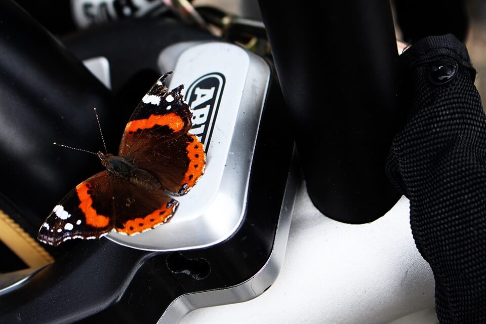 A photo from... Rotterdam