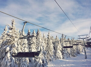 One photo a day: February 2013