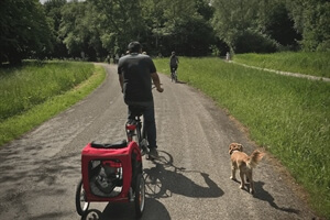 Amsterdam Travel: Things to Do With Dogs in Amsterdam