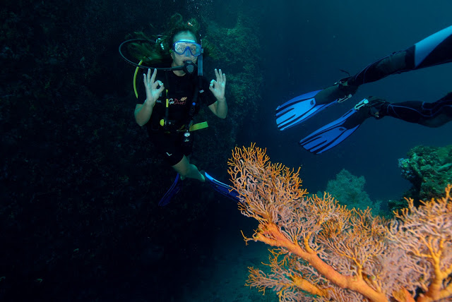 Darling, it's better down where it's wetter...