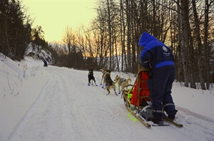 Dog-mushing Tour in Northern Norway - Chapter Three: Outside my comfort zone