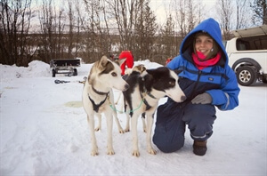 Dog-Mushing Tour in Northern Norway - Chapter Two: Our Five Husky Dogs