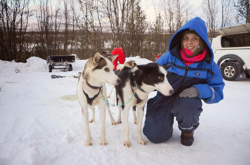 Dog-Mushing Tour in Northern Norway - Chapter Two: Our Five Husky Dogs