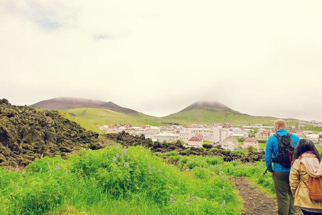 Iceland Travel: Visiting the Westman Islands