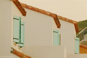 Book Review: A is for Angelica by Iain Broome