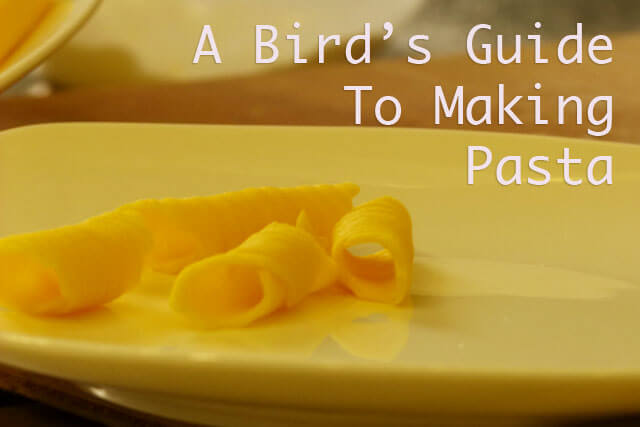 Italy Travel: A Pasta-Making Class in Italy﻿