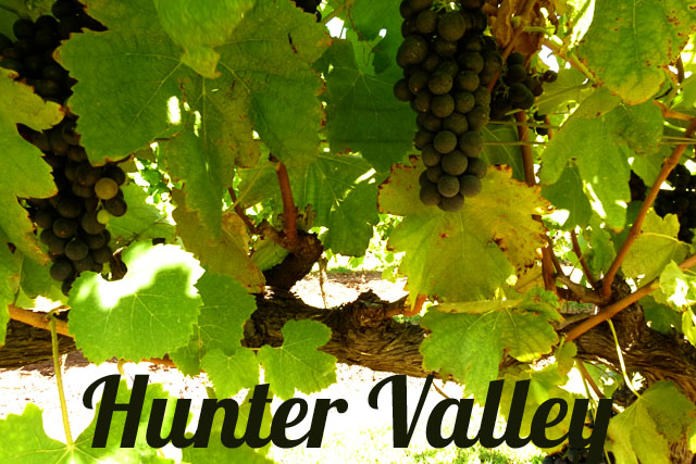 in photos: Exploring hunter valley