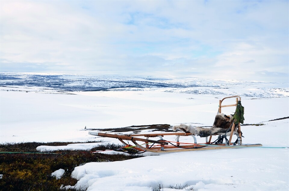 Norway Travel: Dog-Sledding in Norway