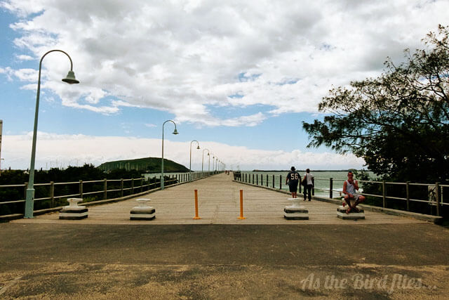 In photos: Jetty Jumping in Coffs Harbour