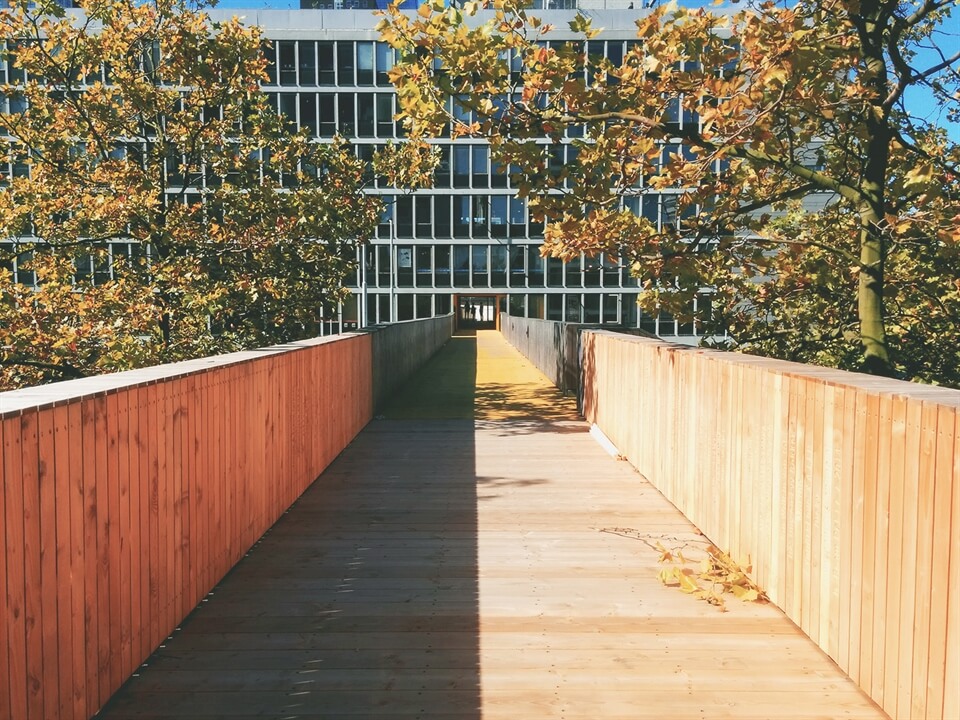 In photos: Luchtsingel in Rotterdam