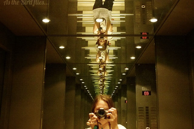 One Year of Travel: Just me and my camera...