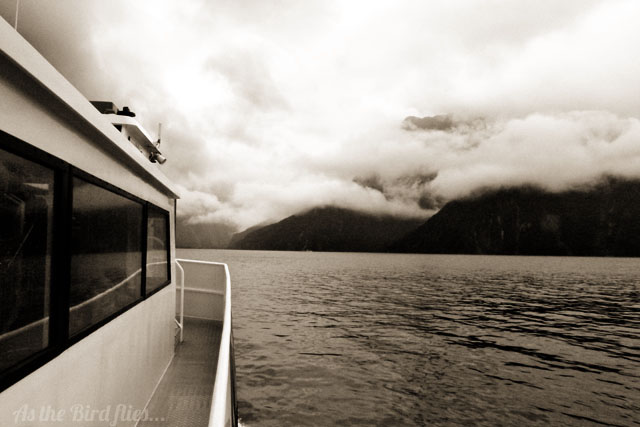 Dreaming in Black and White - Milford Sound