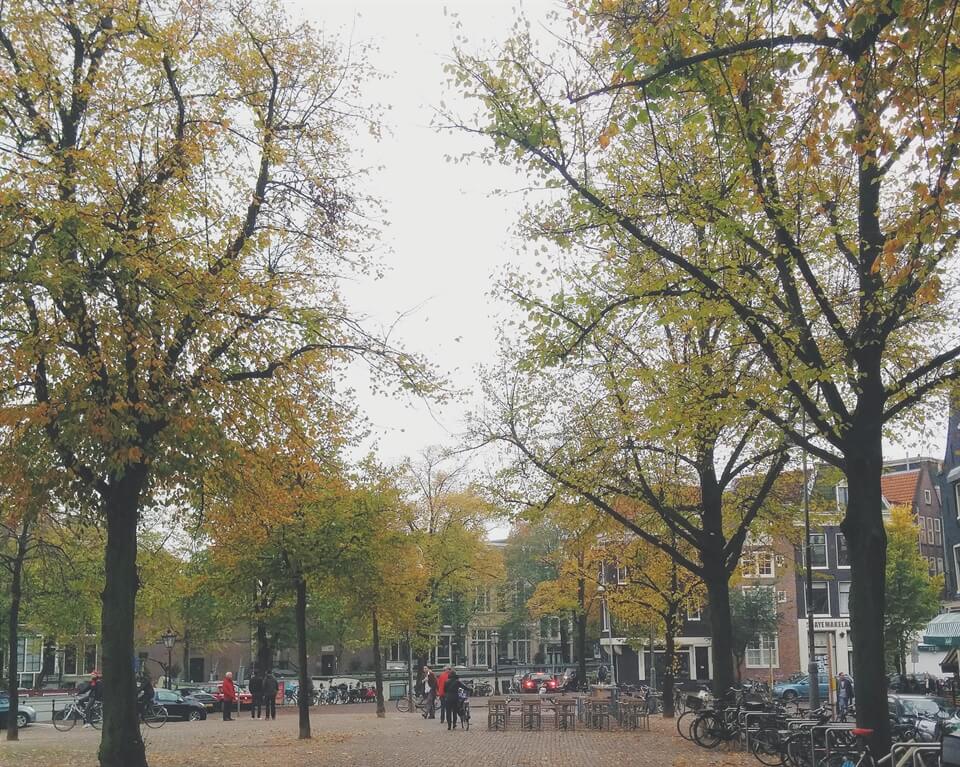 In photos: Amsterdam in Autumn.