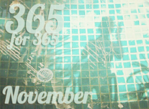 One photo a day in 2012: November