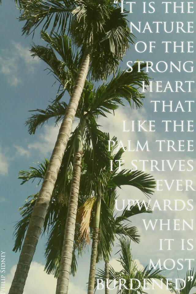 Inspiration: On strong hearts and palm trees...