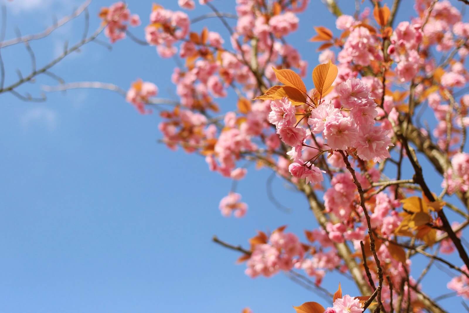 Freelance Life: How to Achieve Email Inbox Zero