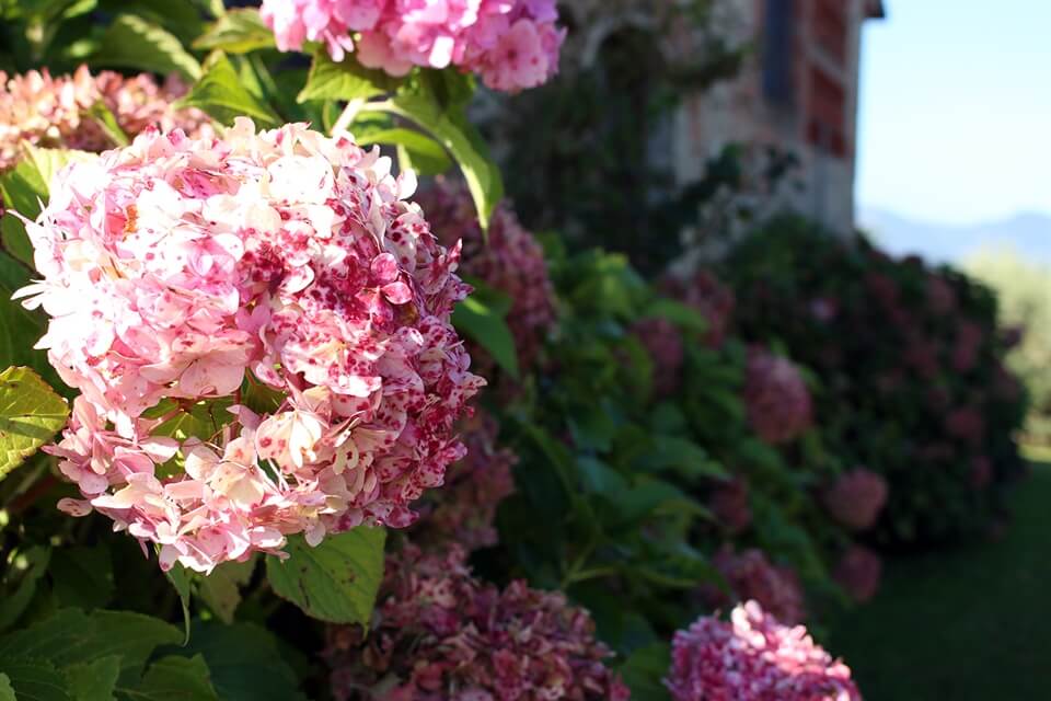 My Thoughts: The Words You Should Say To Every (First-time) Mother-to-be