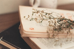 Books I Love: Five Poetry Collections You Should Read