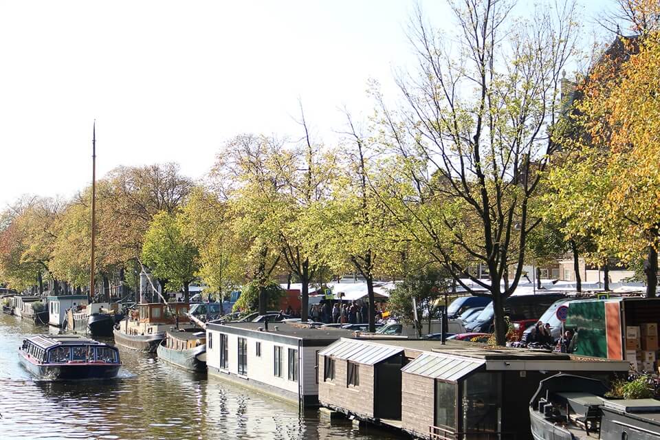 NaNoWriMo Inspiration (Day 21): My Week Three Progress Report